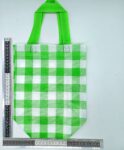 B – 016 bolsa plastificada picknick 23X23cm C12 2F-1 (2)