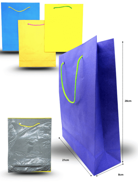 B - 502 bolsa mediana color 21cmx28cmx8cm C/12 CRS TRS