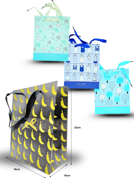 B - 007 bolsa de regalo decorada diferentes diseños 18x23x10cm C/12 BPA-C0125