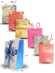 B - 010 bolsa de regalo cartón grueso con agujeta un solo modelo por paquete 23x18x10cm C/12 D4242
