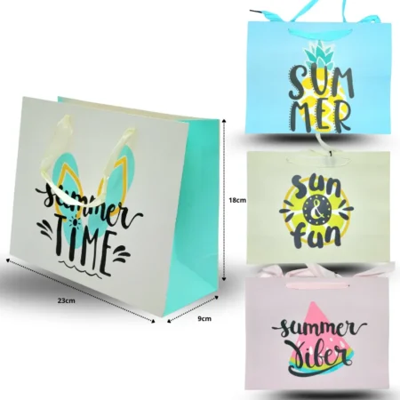 B - 166 bolsa de regalo cartón grueso boutiquera summer  23x18 CM C/12 BPA-C0101