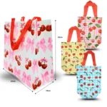 B - 050 bolsa plastificada decorada C/12 55X-9