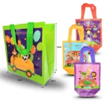 B - 090 bolsa plastificada decorada  21x23x15cm C12 7F-7