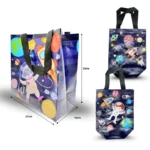 B - 091 bolsa plastificada decorada  21x23x15cm C12 7F-8