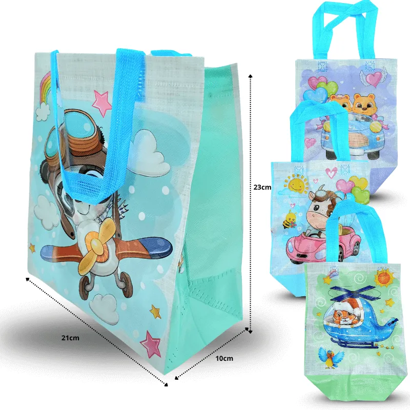 B-093-bolsa-plastificada-decorada-21x23x15cm-C12-7F-10