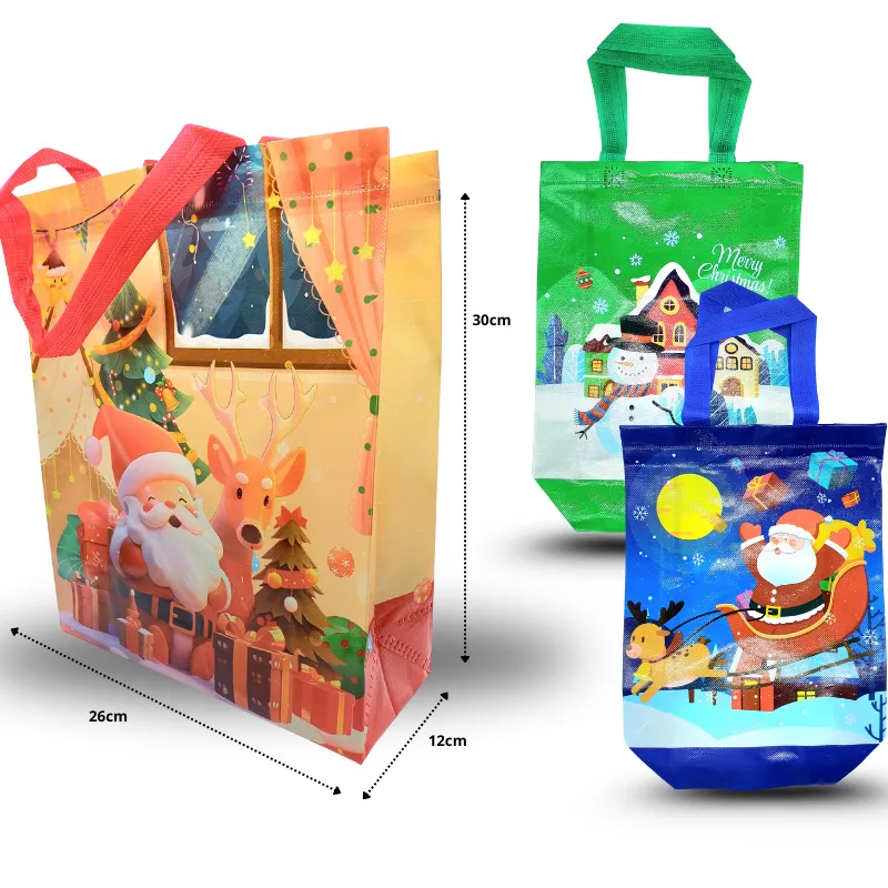 N-133-bolsa-navide-a-plastificada-C-12-25O40