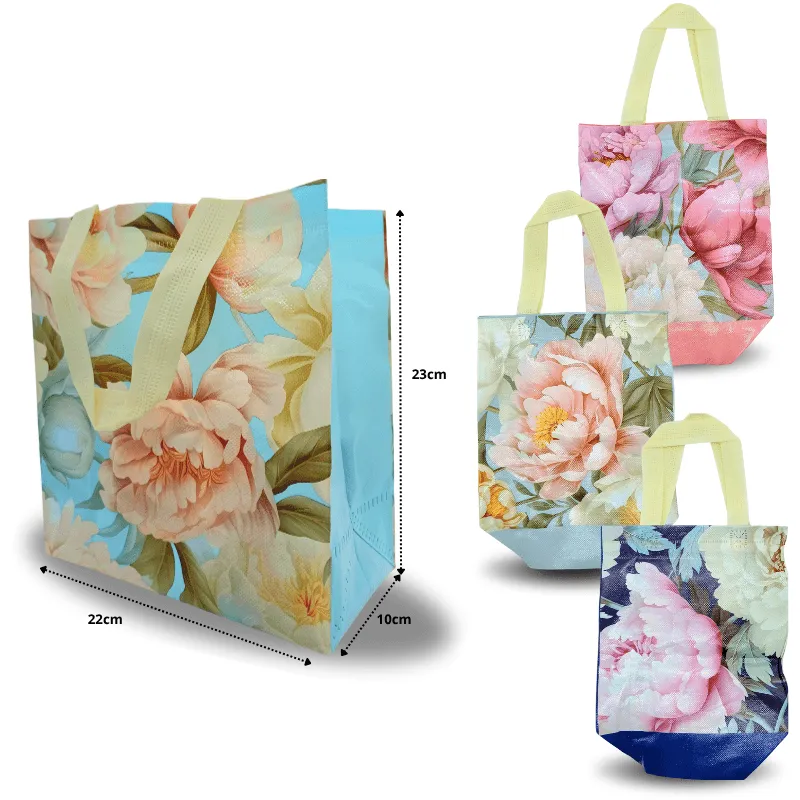 B-129-bolsa-plastificada-decorada-C-12-KM693-6F-11