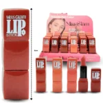 C - 006 labial surtido C/24 HMN-47 o MGKH-004