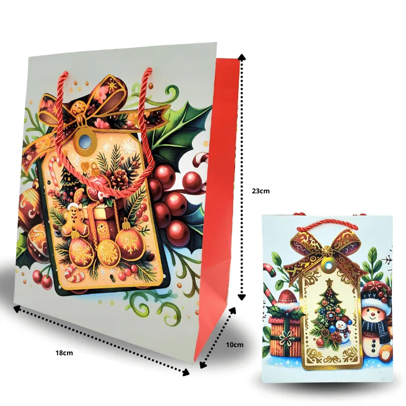 N-001-bolsa-navide-a-de-regalo-cart-n-grueso-23x18cm-C-12-DG26-H19