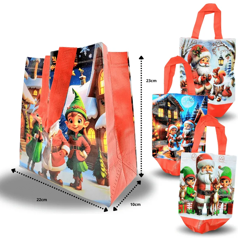 N-003-bolsa-plastificada-navide-a-C-12-DG26-H29-1